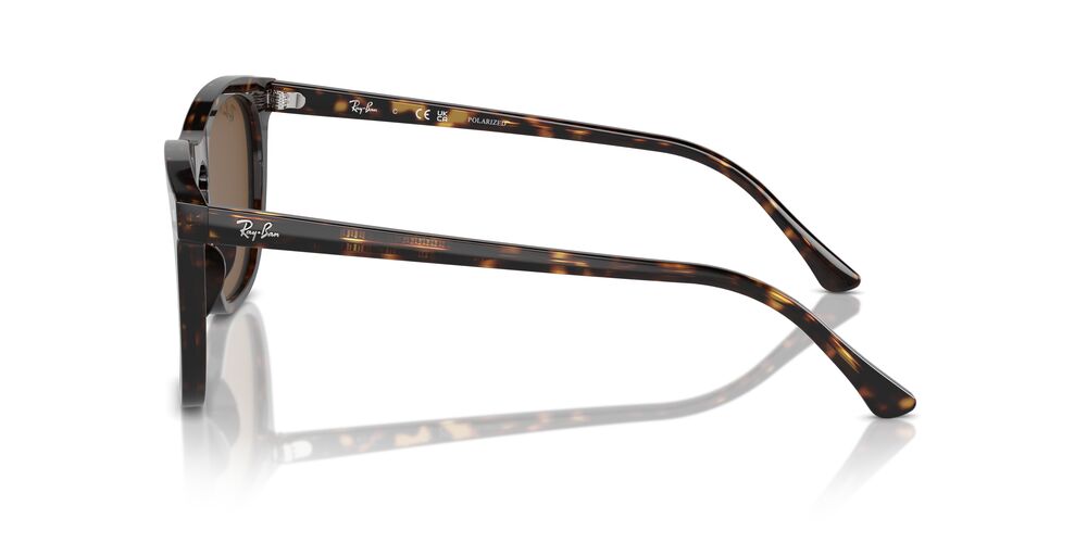 Aros De Sol Ray-Ban RB2210 Havana