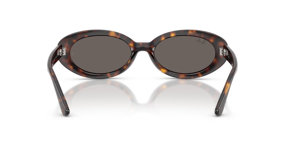 Aros De Sol Ray-Ban RB2223 Havana