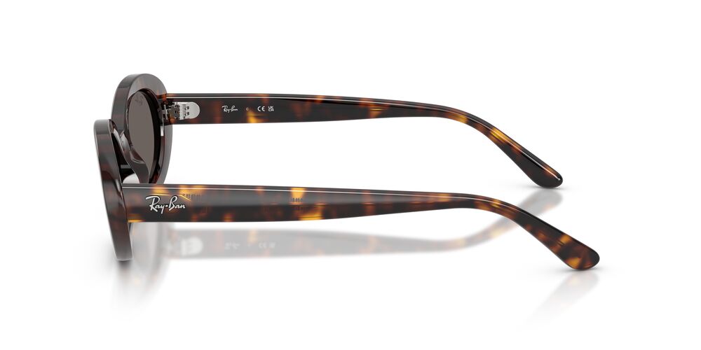 Aros De Sol Ray-Ban RB2223 Havana