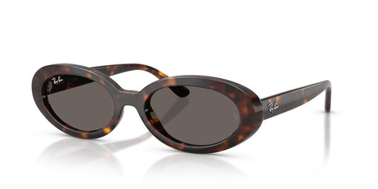 Aros De Sol Ray-Ban RB2223 Havana