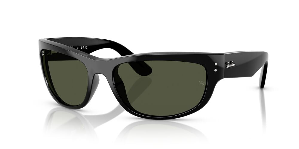 Aros De Sol Ray-Ban RB2289 Black