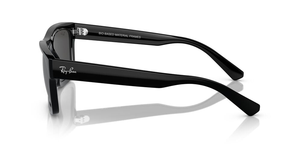 Aros De Sol Ray-Ban Rb4396 Black