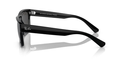 Aros De Sol Ray-Ban Rb4396 Black