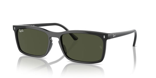 Aros De Sol Ray-Ban Rb4435 Black