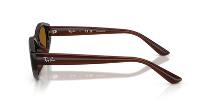 Aros De Sol Ray-Ban RB4473D Dark Brown