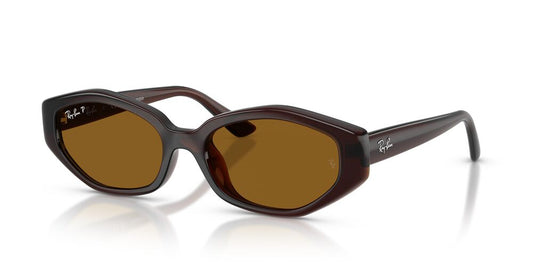 Aros De Sol Ray-Ban RB4473D Dark Brown