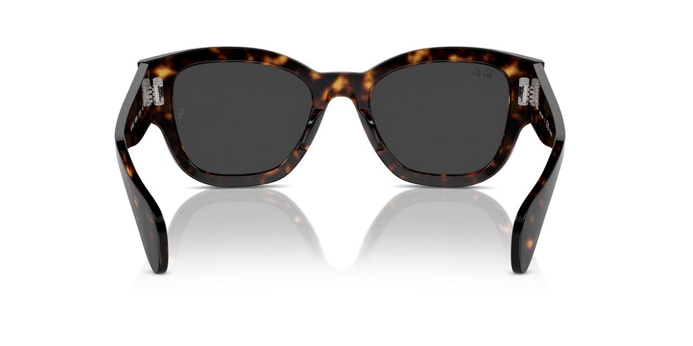 Aros De Sol Ray-Ban Rb7681S Havana