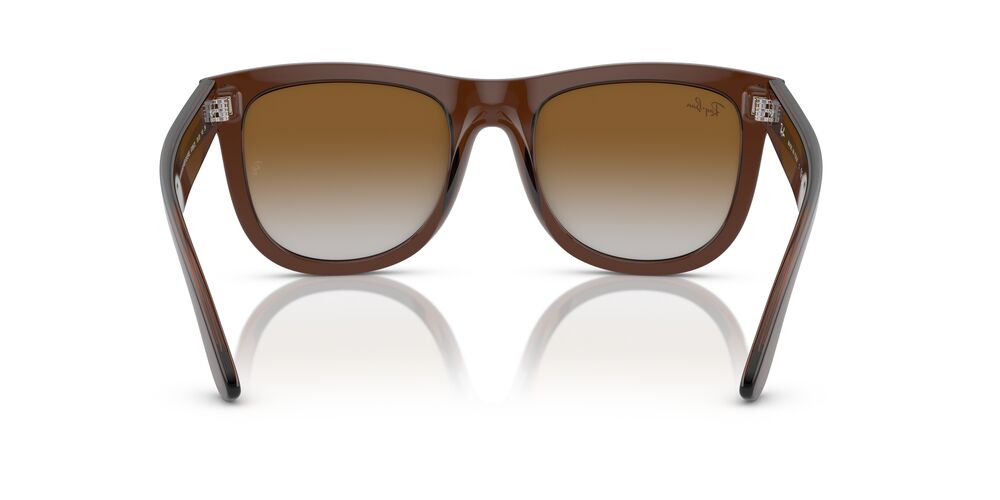 Aros De Sol Ray-Ban Rbr0502S Transparent Brown