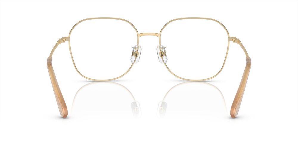 Aros Oftálmicos Swarovski Sk1009D Clear Gris