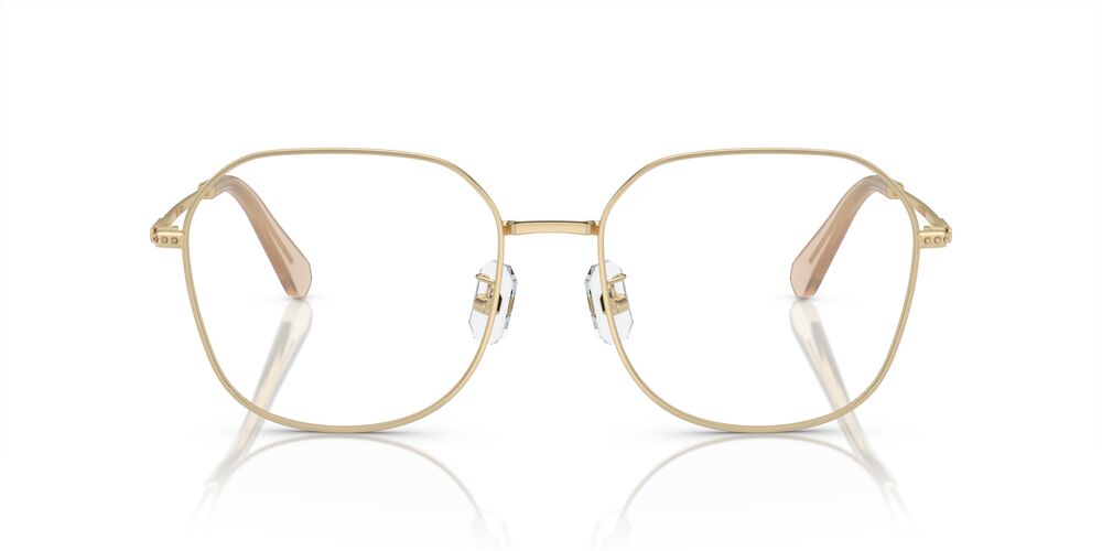 Aros Oftálmicos Swarovski Sk1009D Clear Gris