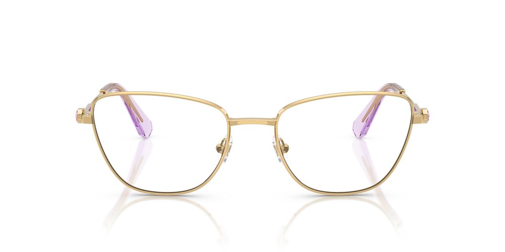 Aros Oftálmicos Swarovski Sk1018 Negro Mate