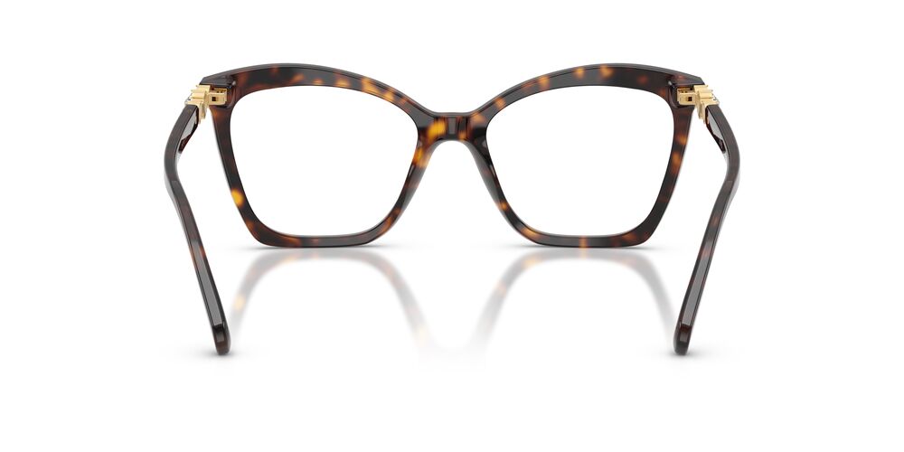 Aros Oftálmicos Swarovski Sk2053 Carey