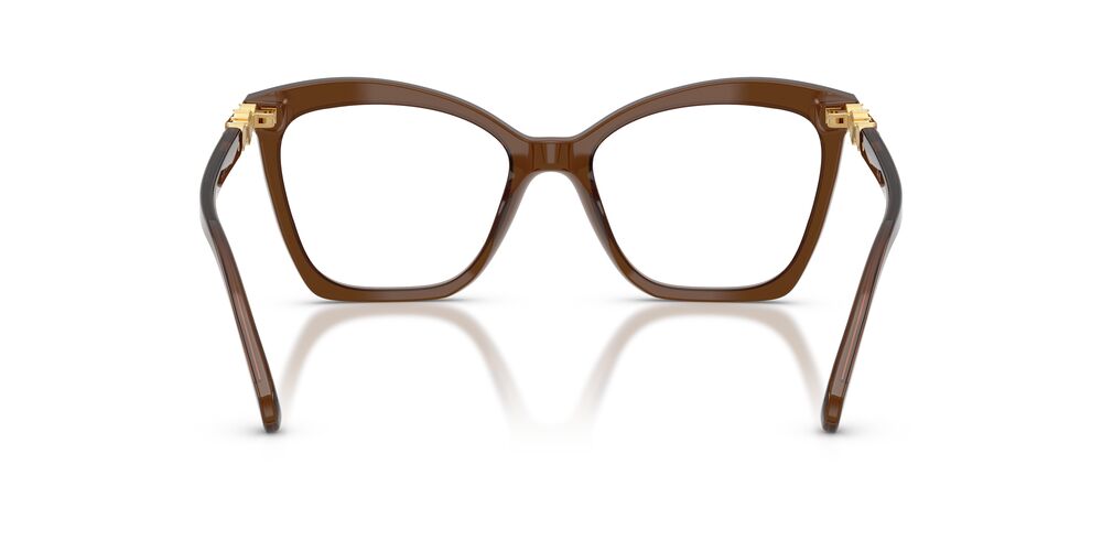 Aros Oftálmicos Swarovski Sk2053 Cafe