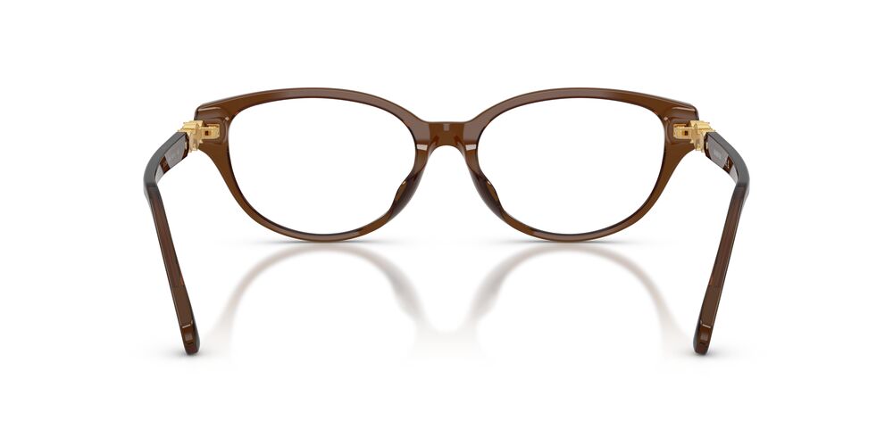 Aros Oftálmicos Swarovski Sk2058D Cafe Clear