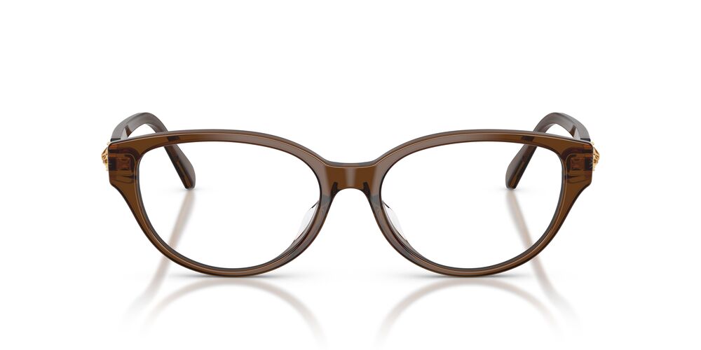 Aros Oftálmicos Swarovski Sk2058D Cafe Clear