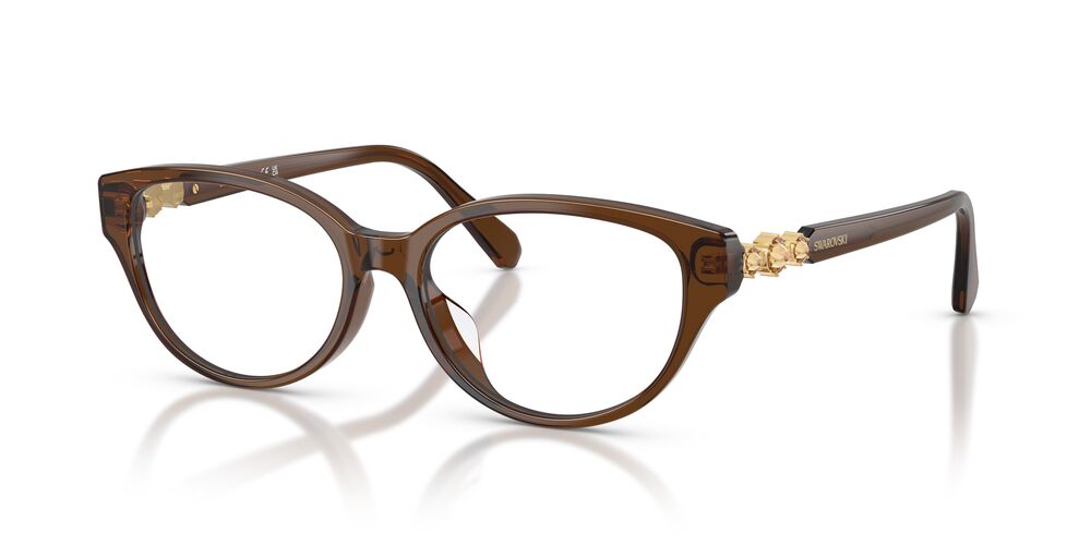 Aros Oftálmicos Swarovski Sk2058D Cafe Clear