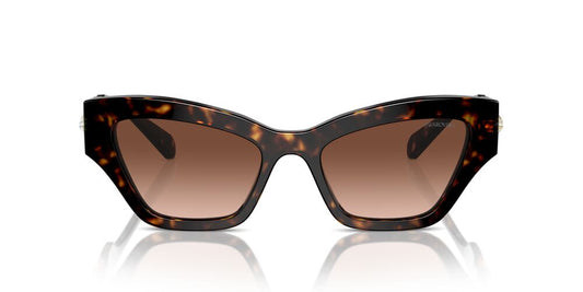 Aros De Sol Swarovski Sk6021 Havana