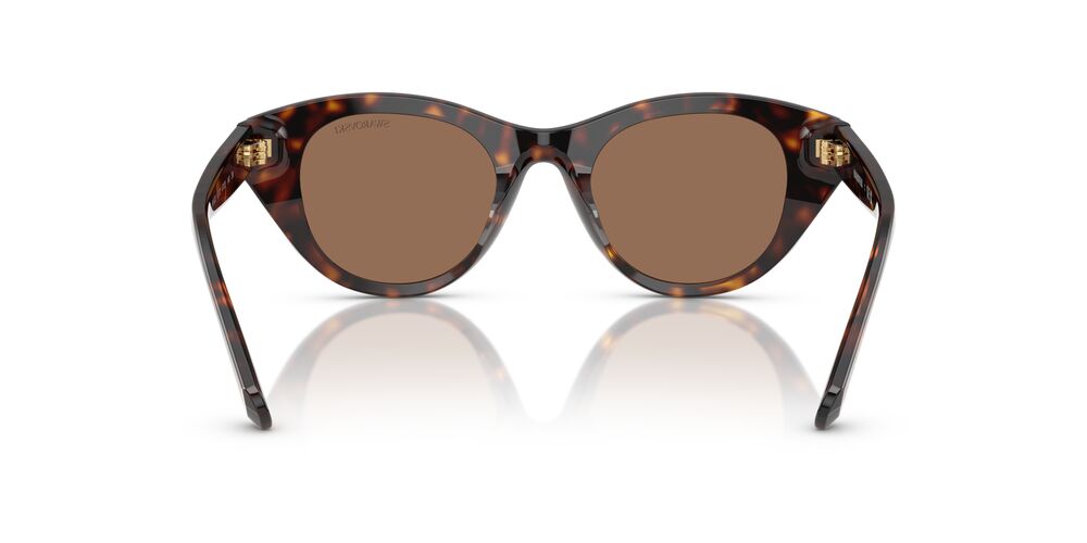 Aros De Sol Swarovski Sk6025 Havana