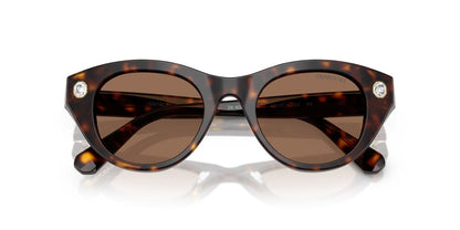 Aros De Sol Swarovski Sk6025 Havana