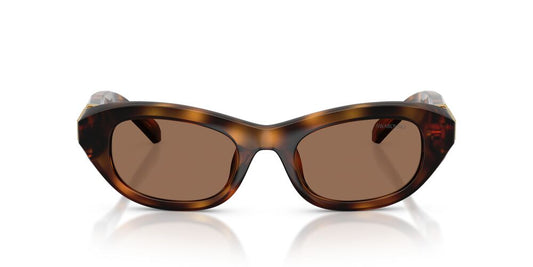 Aros De Sol Swarovski Sk6036U Havana