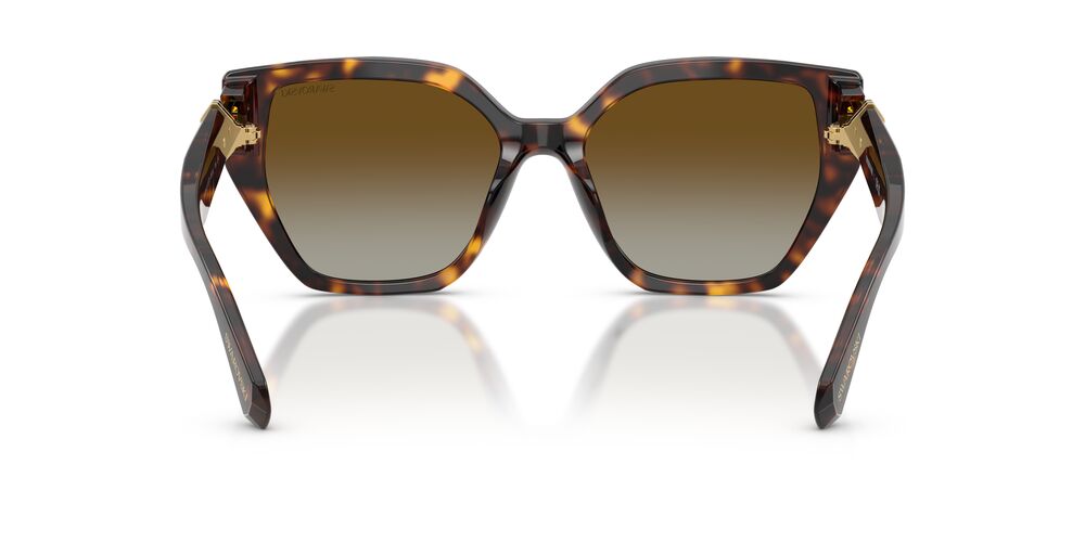 Aros De Sol Swarovski SK6044U Havana