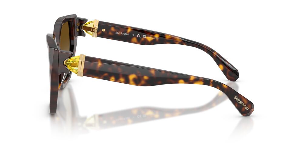 Aros De Sol Swarovski SK6044U Havana