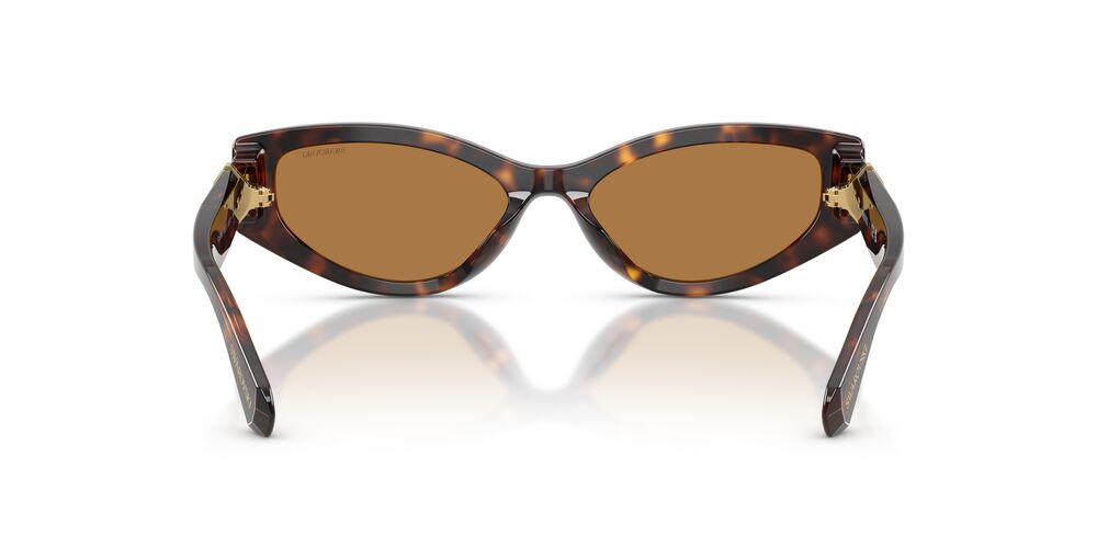 Aros De Sol Swarovski SK6045U Havana