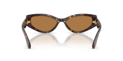 Aros De Sol Swarovski SK6045U Havana