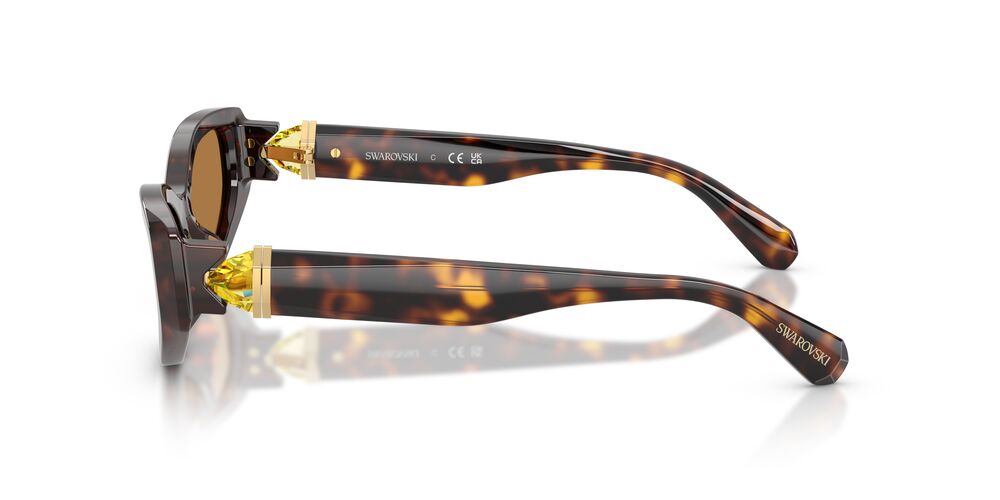 Aros De Sol Swarovski SK6045U Havana