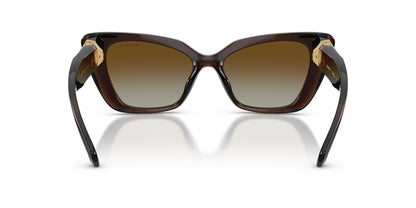 Aros De Sol Swarovski SK6047 Transparent Brown