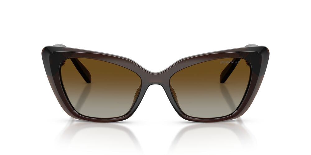 Aros De Sol Swarovski SK6047 Transparent Brown