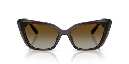 Aros De Sol Swarovski SK6047 Transparent Brown