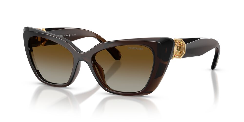 Aros De Sol Swarovski SK6047 Transparent Brown