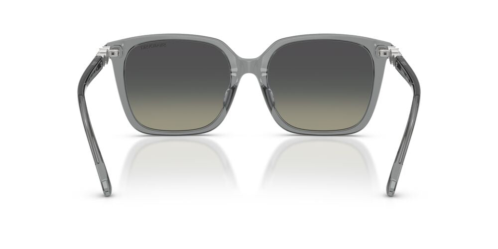 Aros De Sol Swarovski SK6053D Transparent Grey
