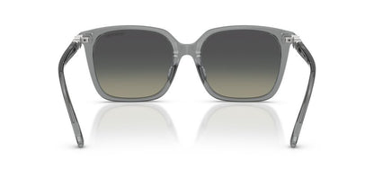 Aros De Sol Swarovski SK6053D Transparent Grey