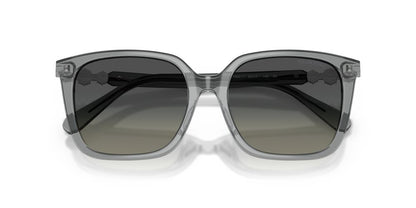 Aros De Sol Swarovski SK6053D Transparent Grey
