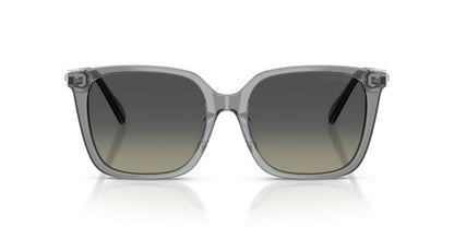 Aros De Sol Swarovski SK6053D Transparent Grey