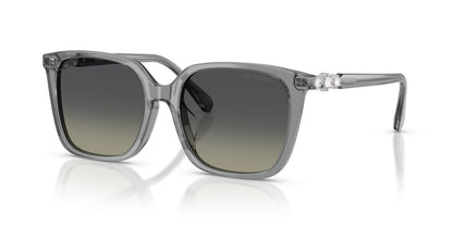 Aros De Sol Swarovski SK6053D Transparent Grey